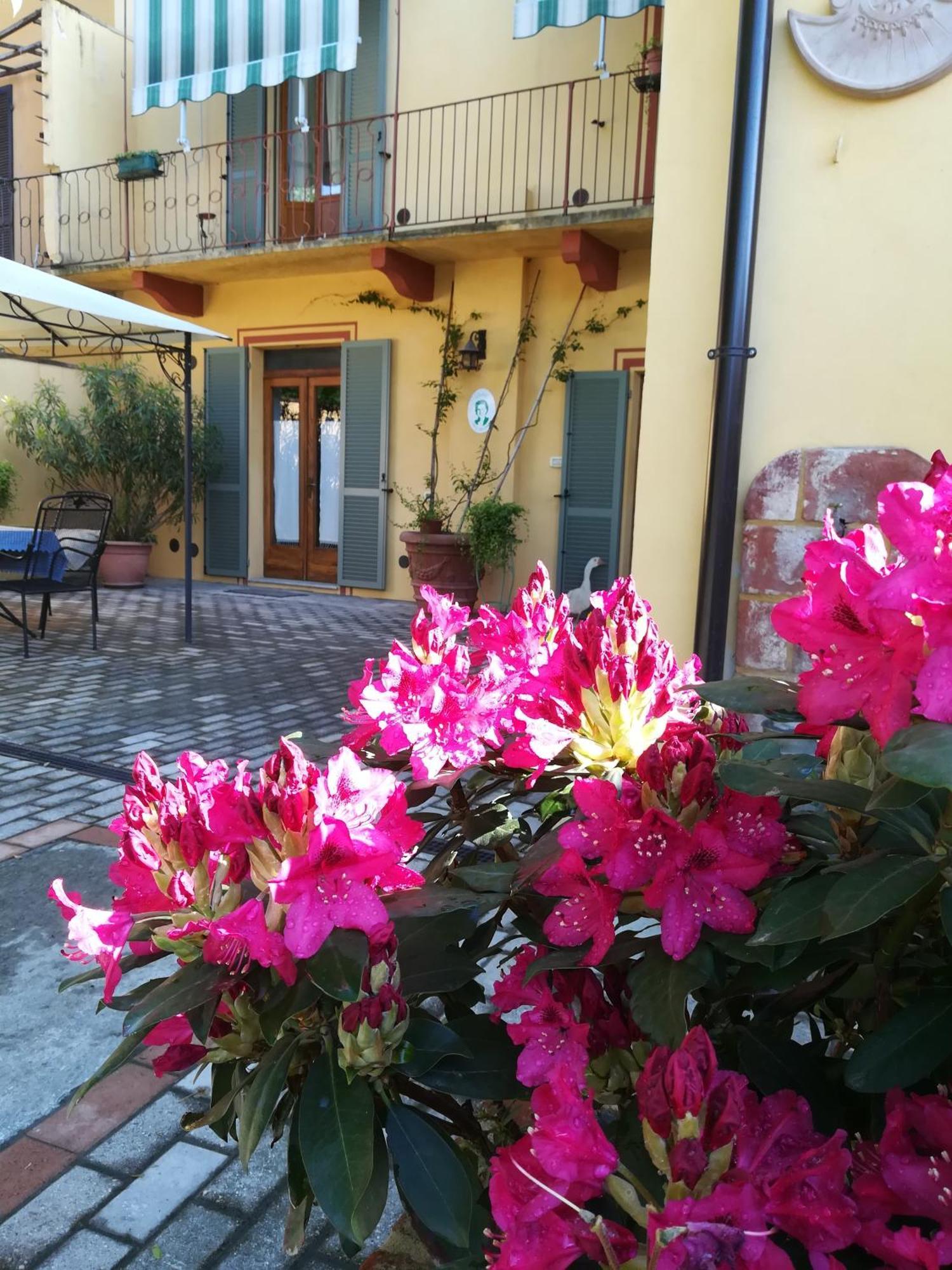 L'Adele Bed & Breakfast Occimiano Εξωτερικό φωτογραφία