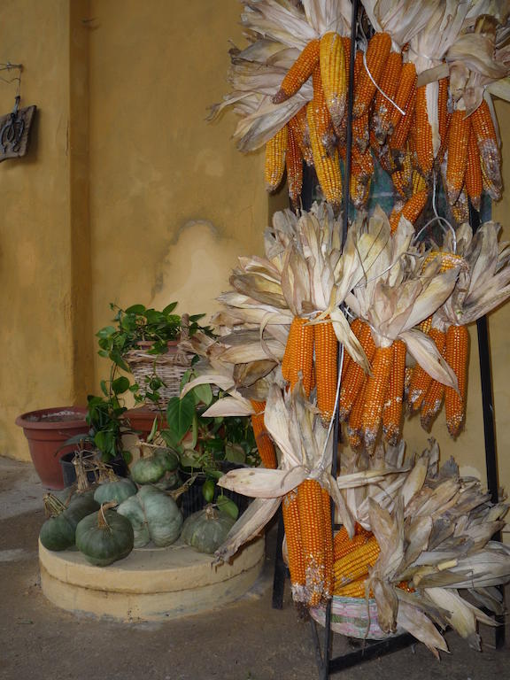 L'Adele Bed & Breakfast Occimiano Εξωτερικό φωτογραφία